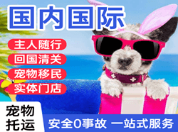 长治王村机场物流国际宠物托运 【国